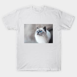 Cat Pet Animal with Blue Eyes T-Shirt